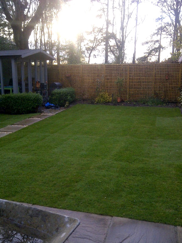 lawn done